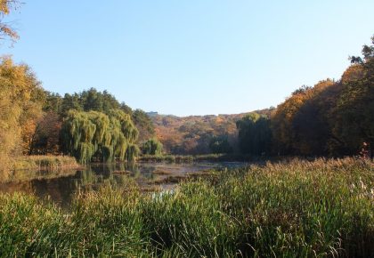Природа Голосіївського парку у Києві