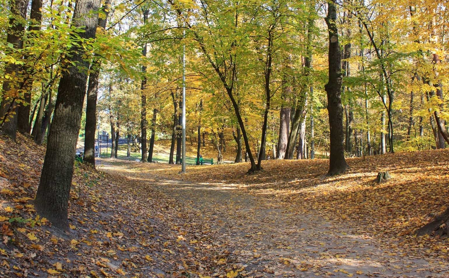 Голосіївський парк імені Максима Рильського
