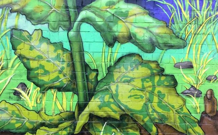 Мурал «Back to the roots» в Києві