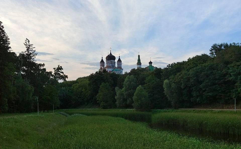 Вид на Пантелеймонівський собор з парку «Феофанія»