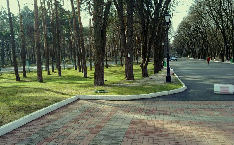 Прогулянкові доріжки в парку імені Івана Багряного