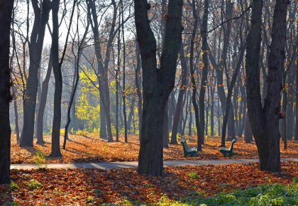 Парк імені Івана Багряного у Києві