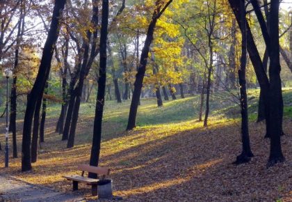 Осіння природа парку КПІ