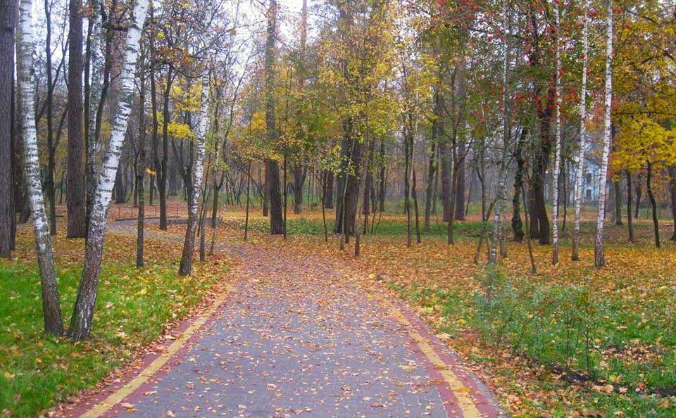 Прогулянкові доріжки в парку Пуща-Водиця