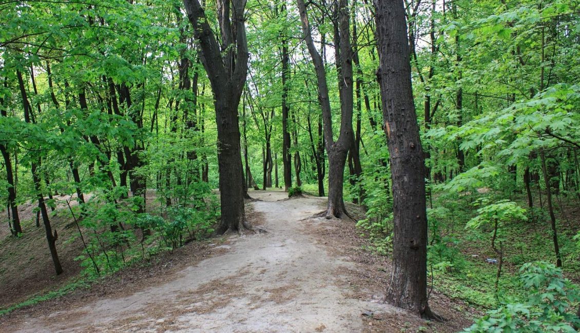 Сирецький парк