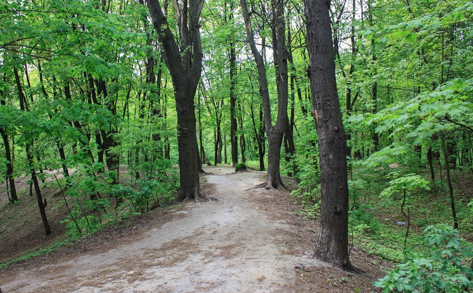 Сирецький парк