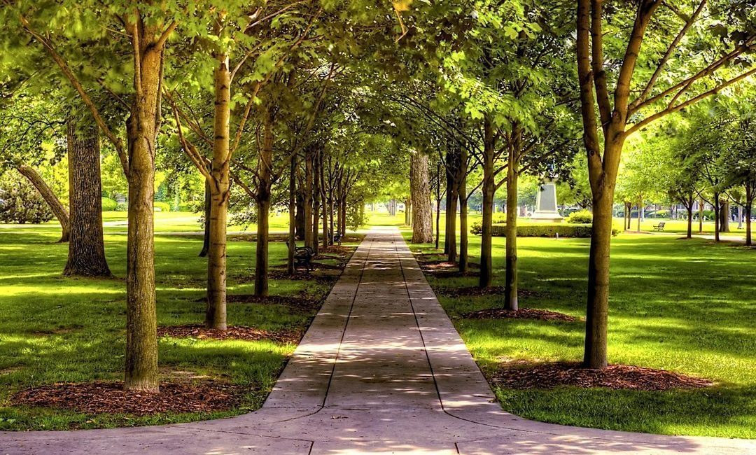 У Києві зʼявилися ще дев’ять мініскверів: озеленення міста