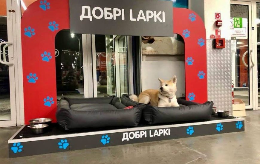 В «Епіцентрі» облаштували місця для відпочинку тварин